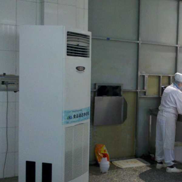 湖北食品正负离子空气杀菌器